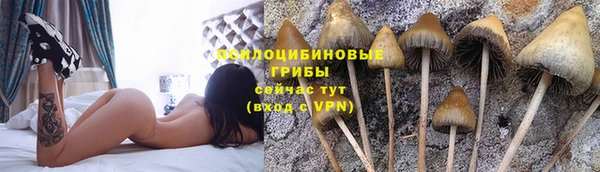 гашишное масло Арсеньев