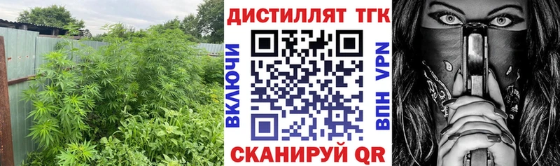Дистиллят ТГК THC oil Купить Макаров